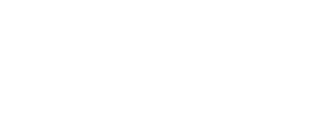 Nilytical logo